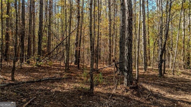 0 Jones Ferry Road, Unit 2 Palmetto, GA 30268 - Photo 4 of 4