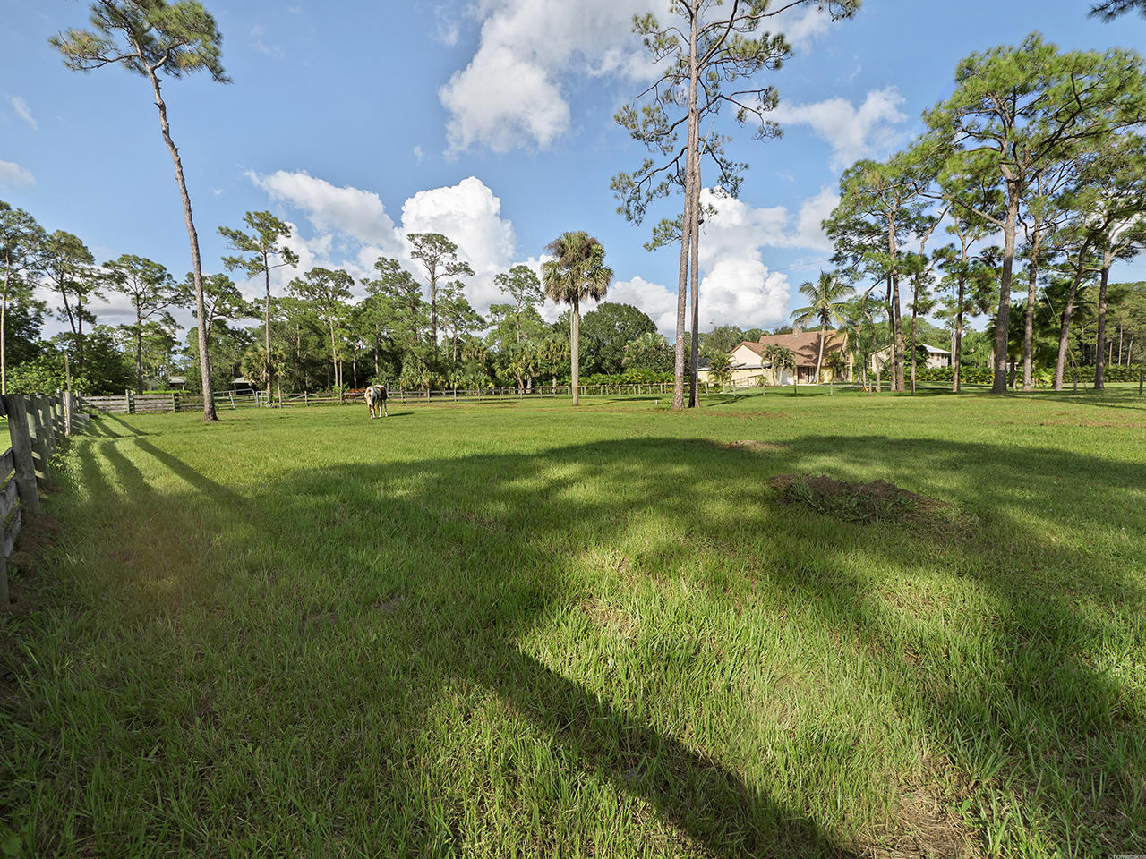 11717 165th Road North Jupiter, FL 33478 - Photo 12 of 13 Pasture