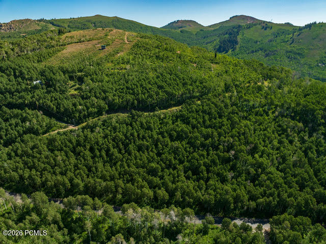 5146 North Pne Cyn Road Park City, UT 84060 - Photo 8 of 15