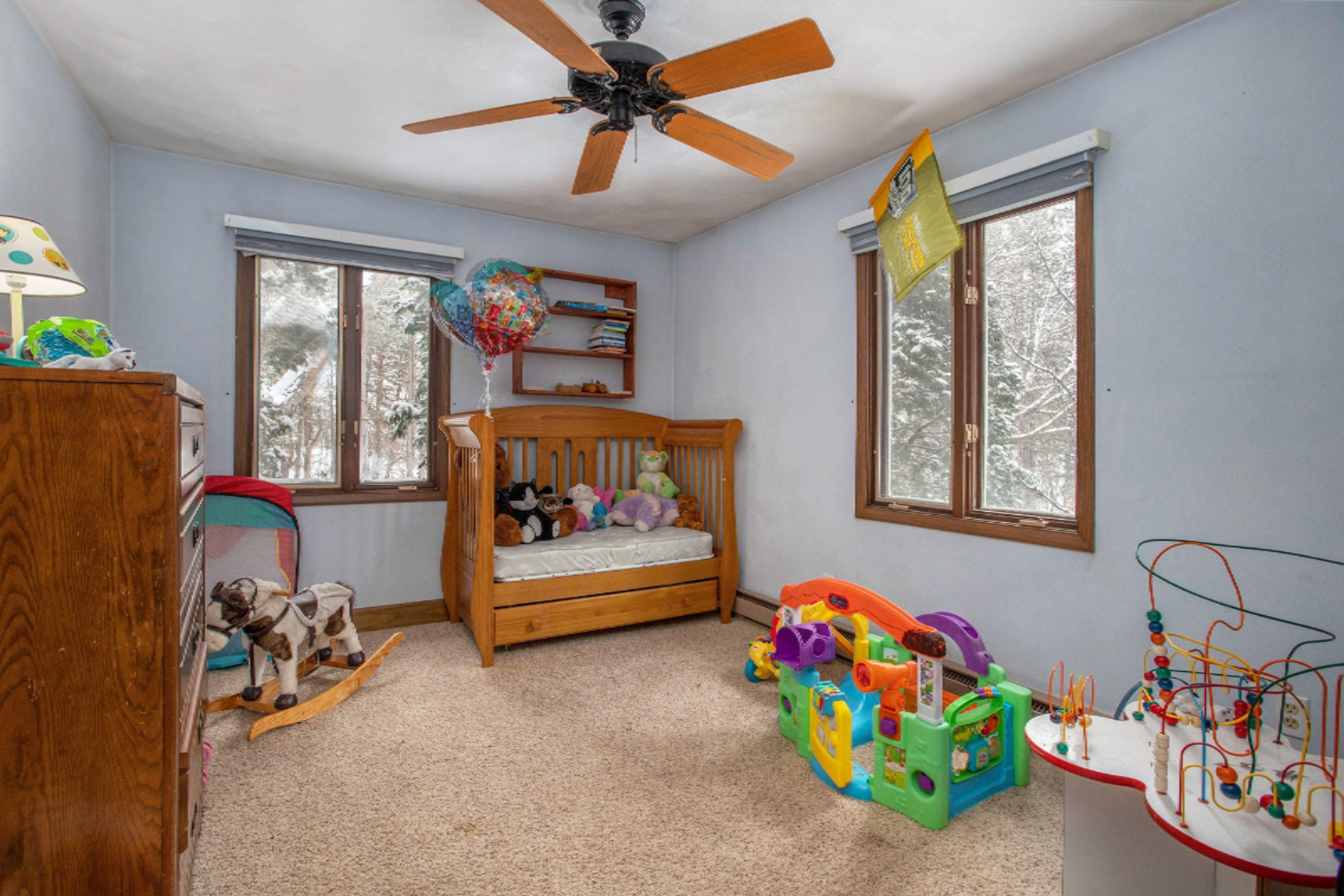 10640 Manning Lake Road Delton, MI 49046 - Photo 10 of 16 NDP-DNGs_23