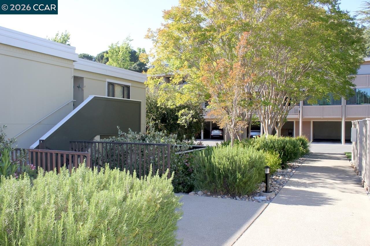 2057 Golden Rain Road, Unit 8 Walnut Creek, CA 94595 - Photo 36 of 78