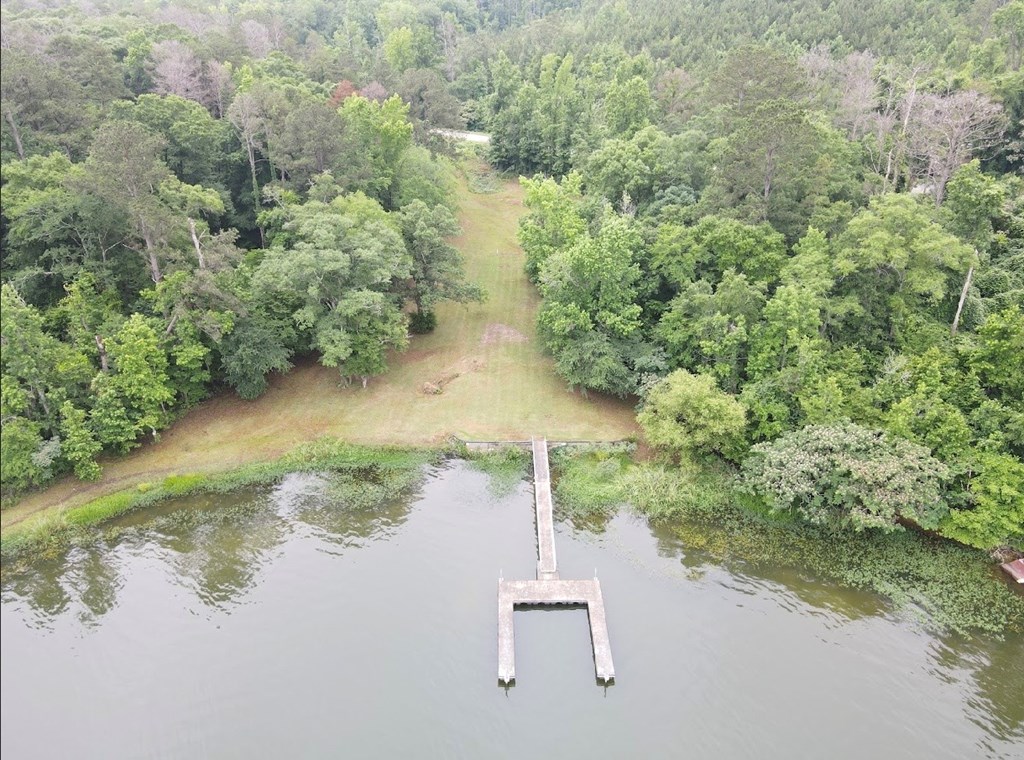 97 County Road 97 Abbeville, AL 36310 - Photo 4 of 15