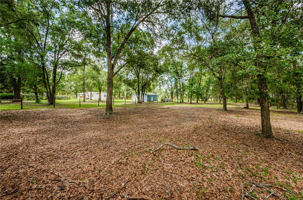 11118 Brahman Road Lithia, FL 33547 - Photo 58 of 60 Gallery Image 58