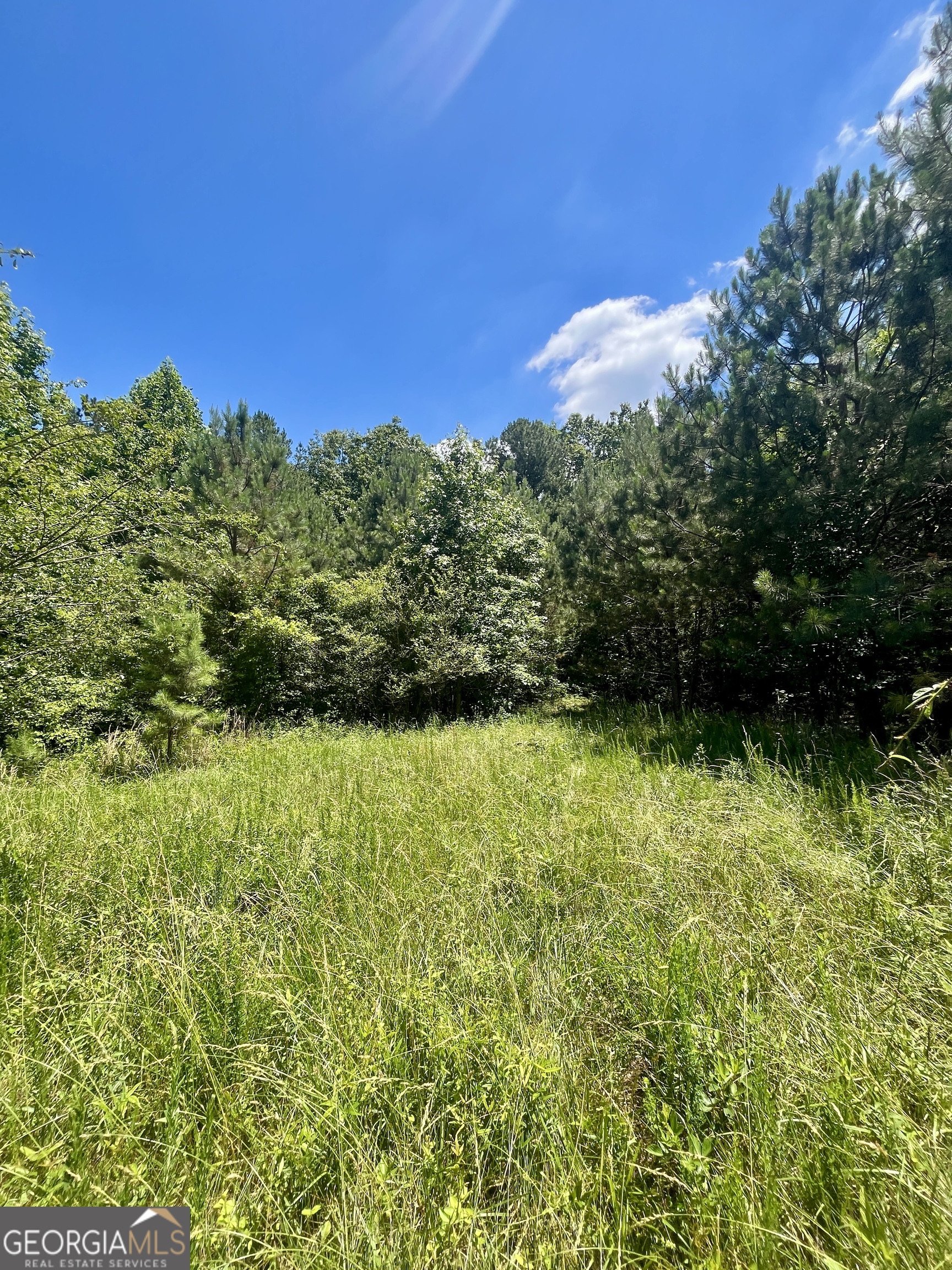 451 2 Rock Road Waco, GA 30182 - Photo 37 of 42