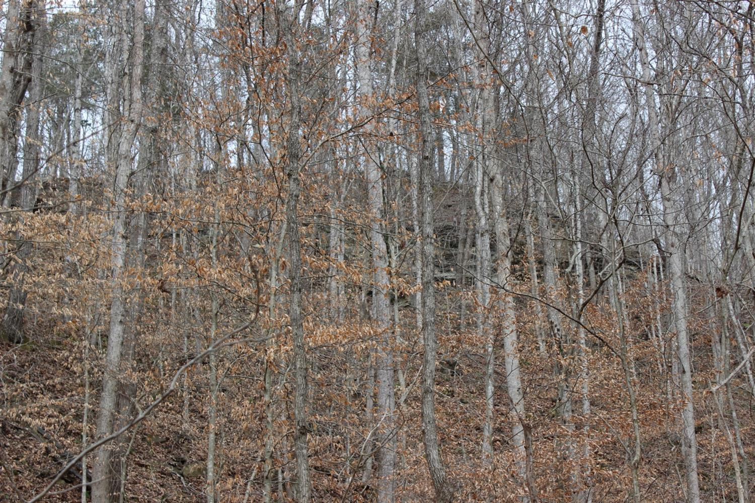 2010 Pryse Road Irvine, KY 40336 - Photo 14 of 56 Photo 14