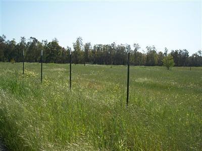 13664 Montfort Road Herald, CA 95638 - Photo 2 of 5