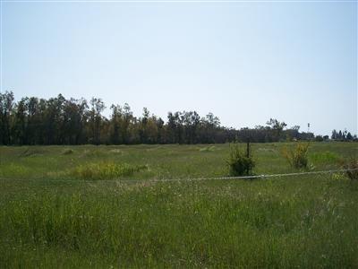 13664 Montfort Road Herald, CA 95638 - Photo 4 of 5