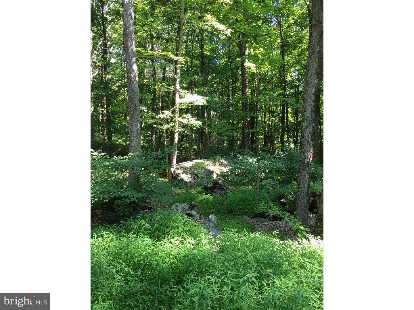 1876 East Saw Mill Road Quakertown, PA 18951 - Photo 11 of 12