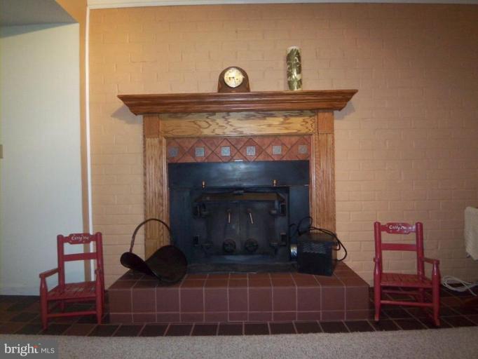4209 Whitacre Road Fairfax, VA 22032 - Photo 29 of 30 Fireplace