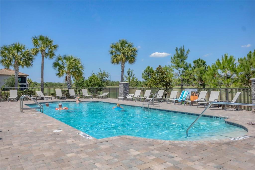18113 Gawthrop Drive, Unit 101 Lakewood Ranch, FL 34211 - Photo 40 of 73 a view of a swimming pool with a patio and a yard