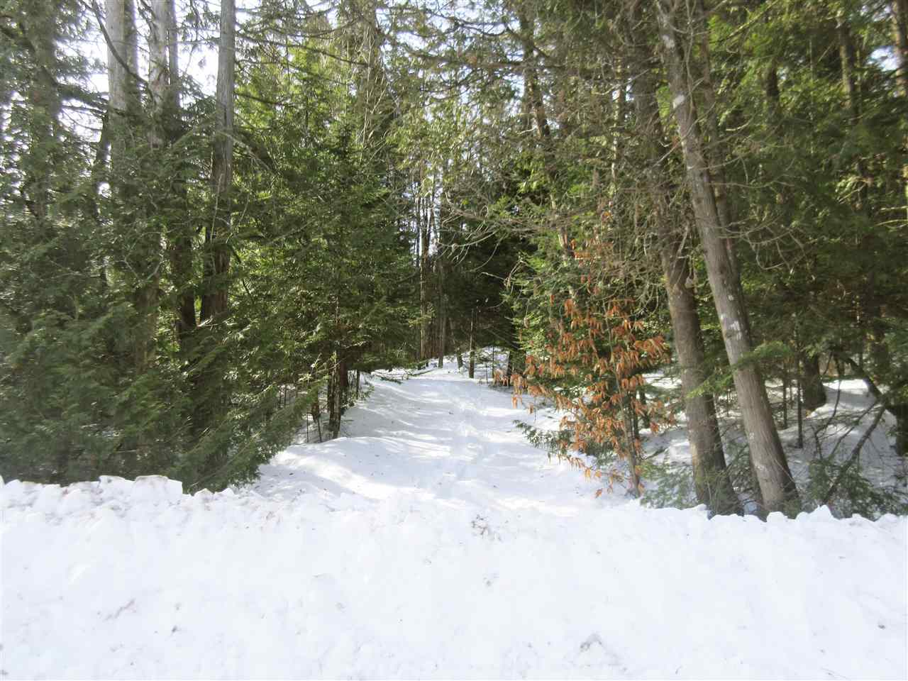 436 Michaud Drive Sutton, VT 05867 - Photo 11 of 16 Gallery Image 11