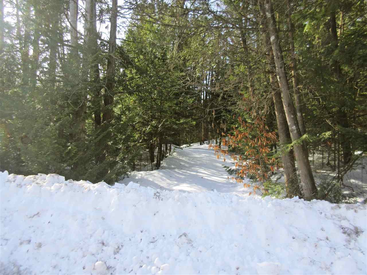 436 Michaud Drive Sutton, VT 05867 - Photo 12 of 16 Gallery Image 12