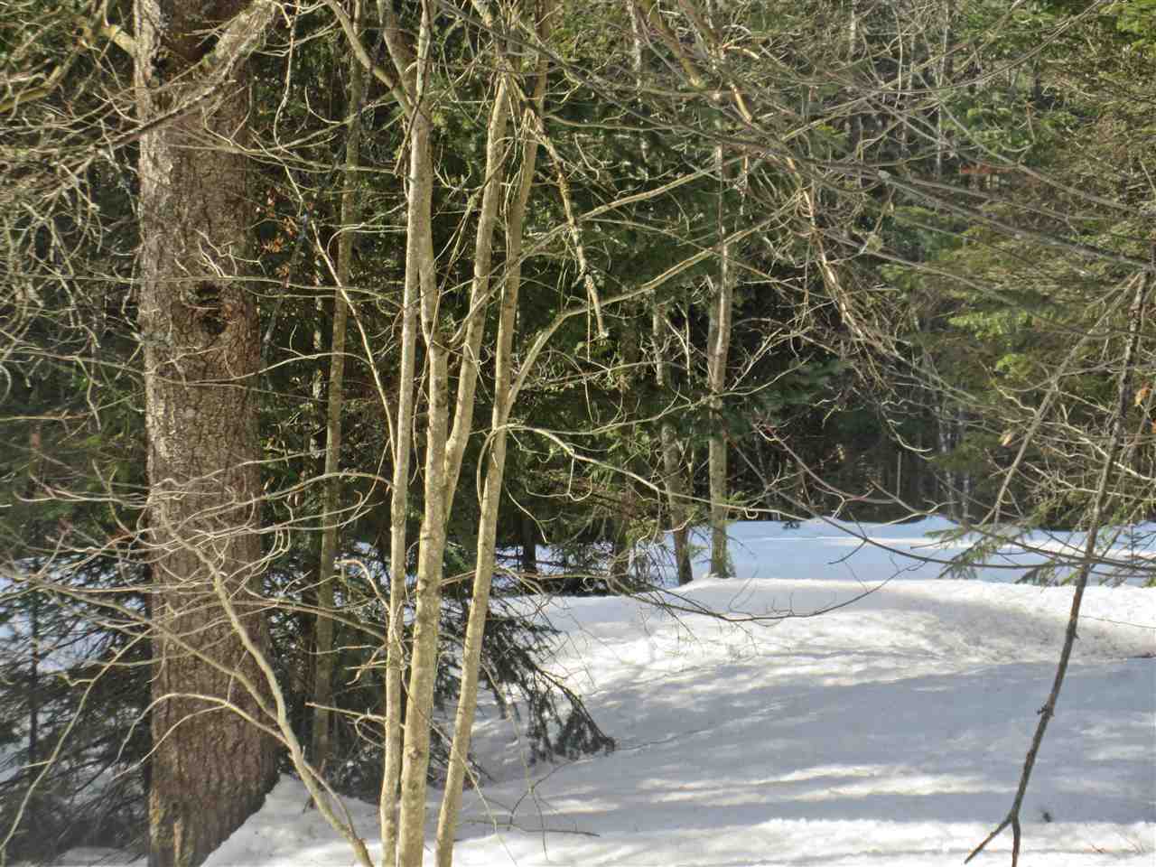 436 Michaud Drive Sutton, VT 05867 - Photo 14 of 16 Gallery Image 14