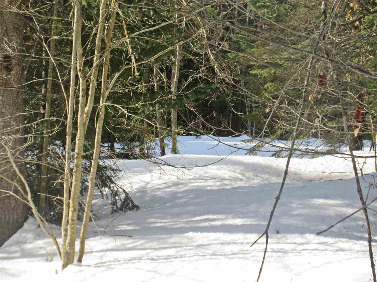 436 Michaud Drive Sutton, VT 05867 - Photo 15 of 16 Gallery Image 15
