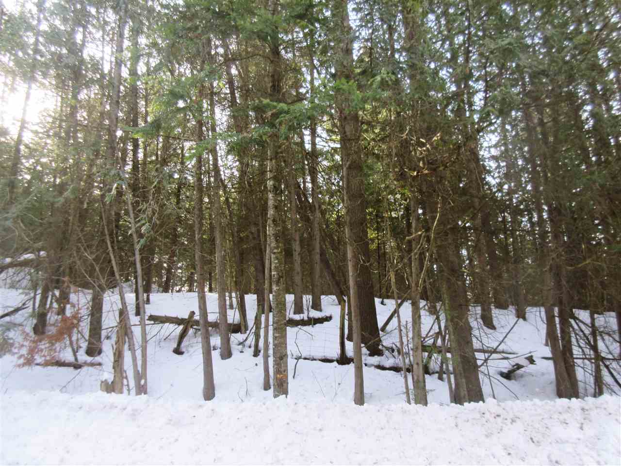 436 Michaud Drive Sutton, VT 05867 - Photo 16 of 16 Gallery Image 16