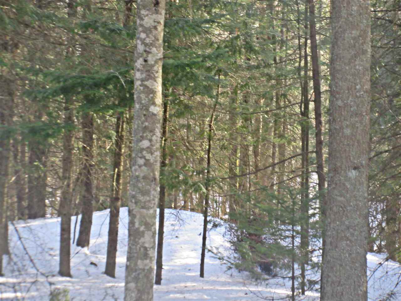 436 Michaud Drive Sutton, VT 05867 - Photo 4 of 16 Gallery Image 4