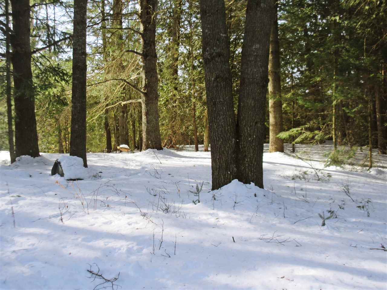 436 Michaud Drive Sutton, VT 05867 - Photo 7 of 16 Gallery Image 7