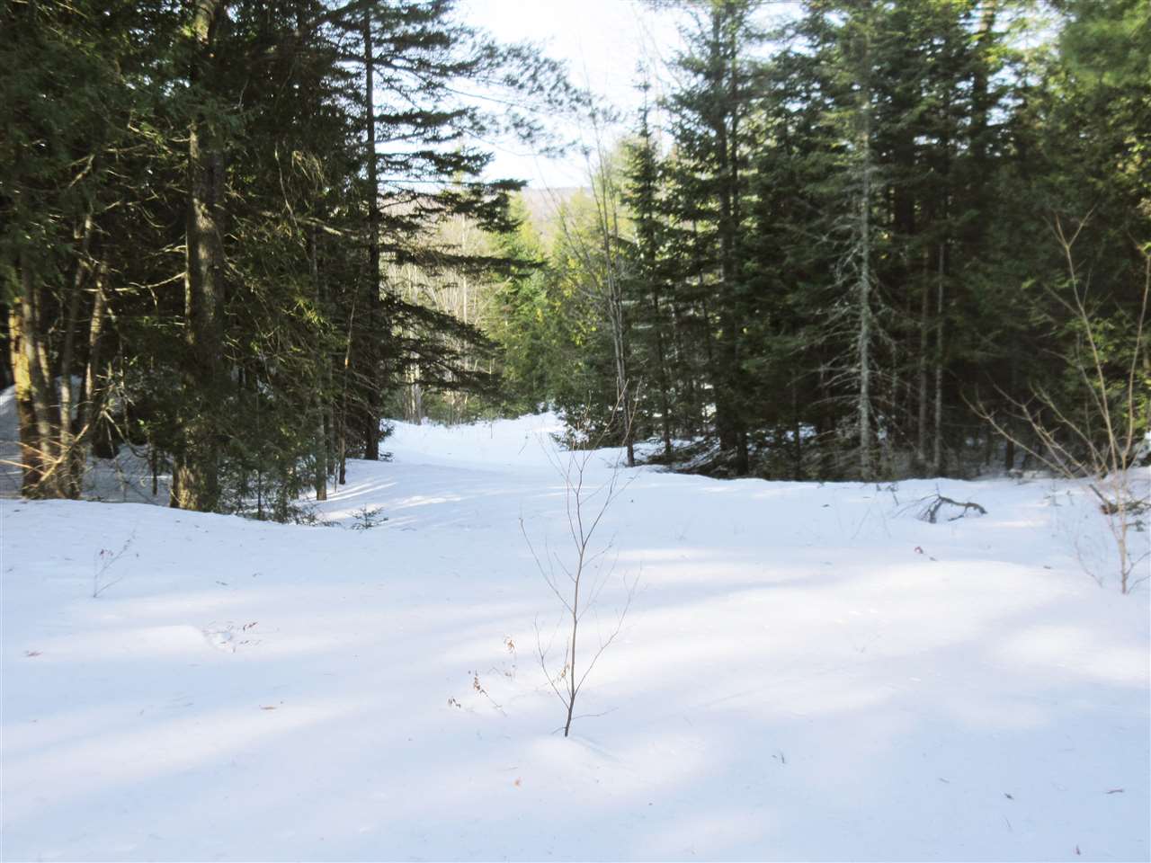 436 Michaud Drive Sutton, VT 05867 - Photo 10 of 16 Gallery Image 10