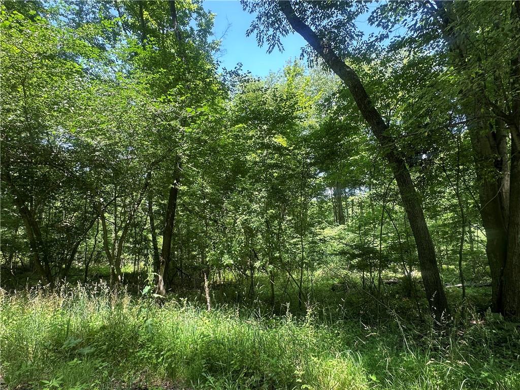0 Cooperstown Road Cooperstown, PA 16317 - Photo 2 of 23