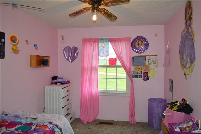 2227 Goodsprings Road Pleasant View, TN 37146 - Photo 8 of 10 Guest bedroom fit for a princess