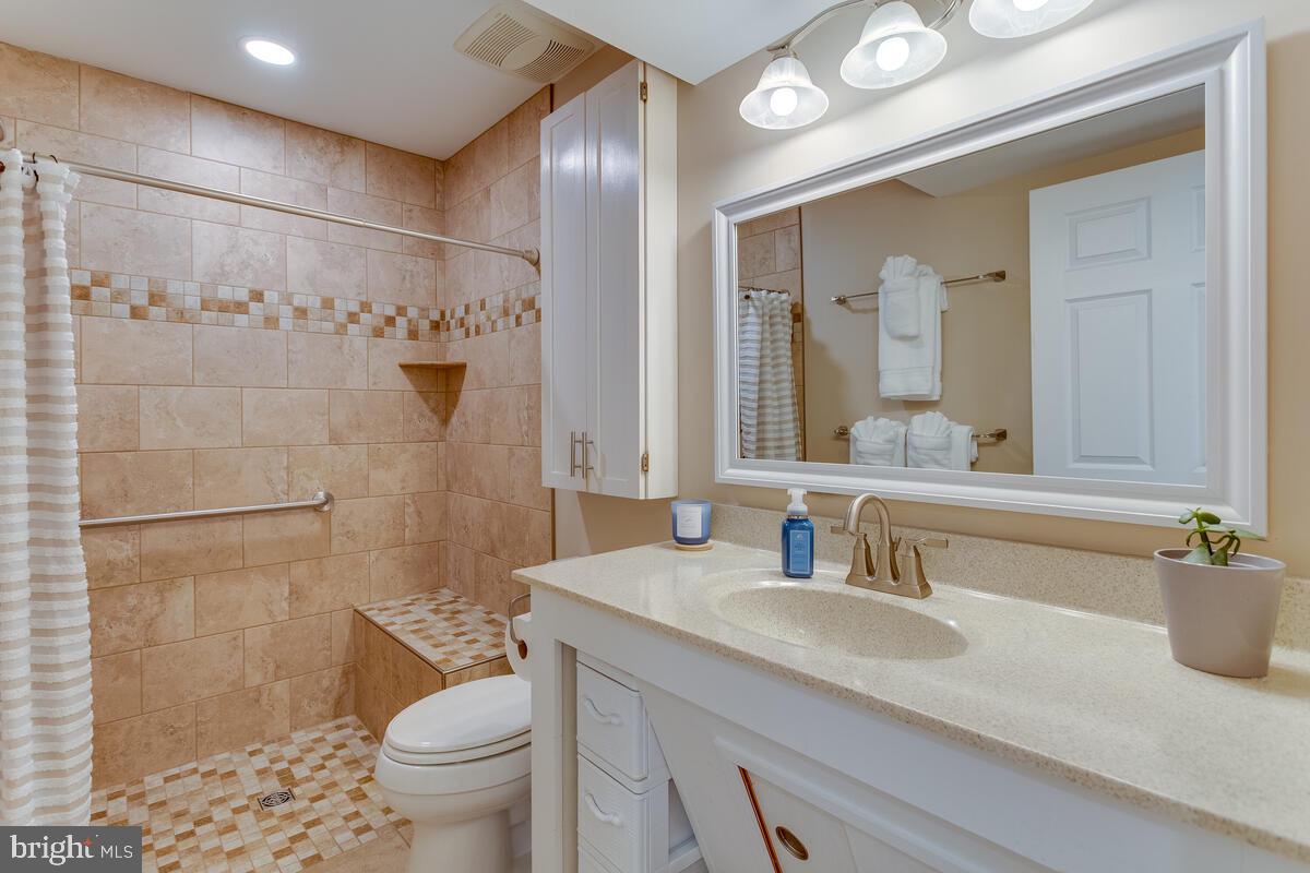 6141 Snowdens Run Road Sykesville, MD 21784 - Photo 47 of 89 ADA compliant Full Bathroom