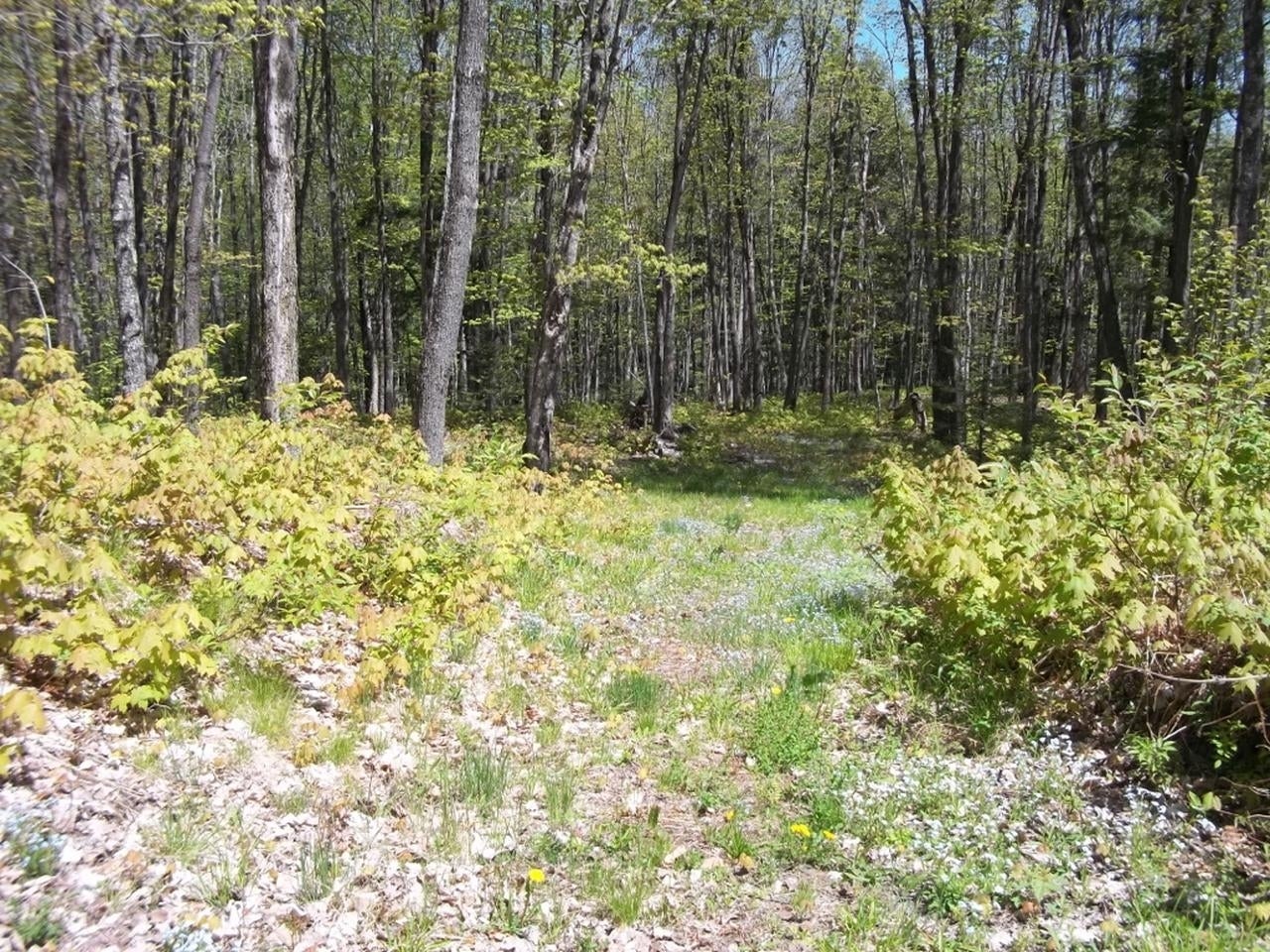 Off Off Chaney Cove Road, Unit 5 9 AC Wakefield, MI 49968 - Photo 23 of 38 Gallery Image 23