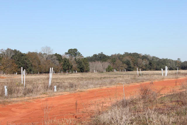 98 US Highway 98 Foley, AL 36535 - Photo 2 of 5