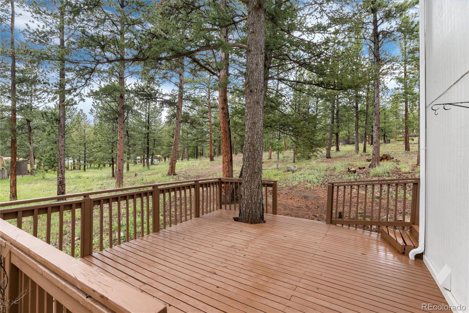 6798 Overland Road Ward, CO 80481 - Photo 30 of 40 Gallery Image 30