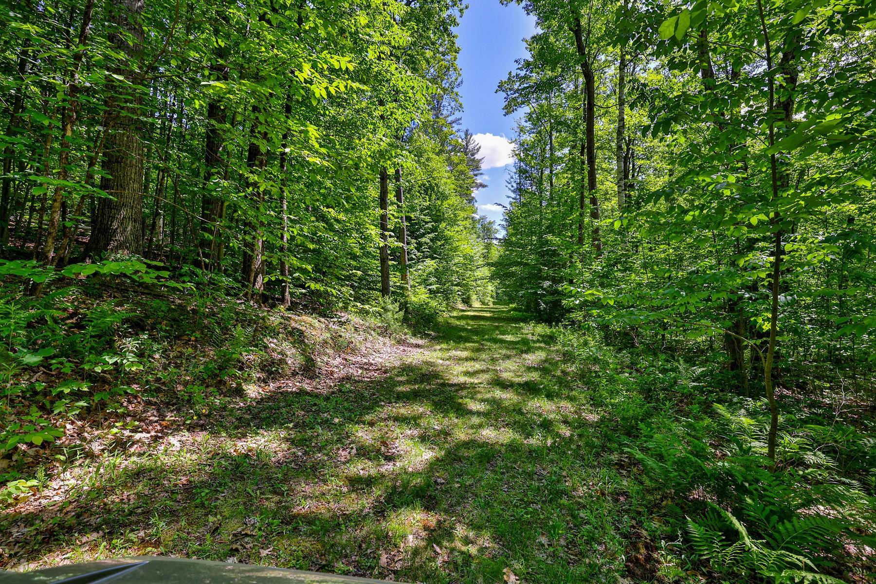 328 Gravelin Road Weathersfield, VT 05151 - Photo 47 of 50