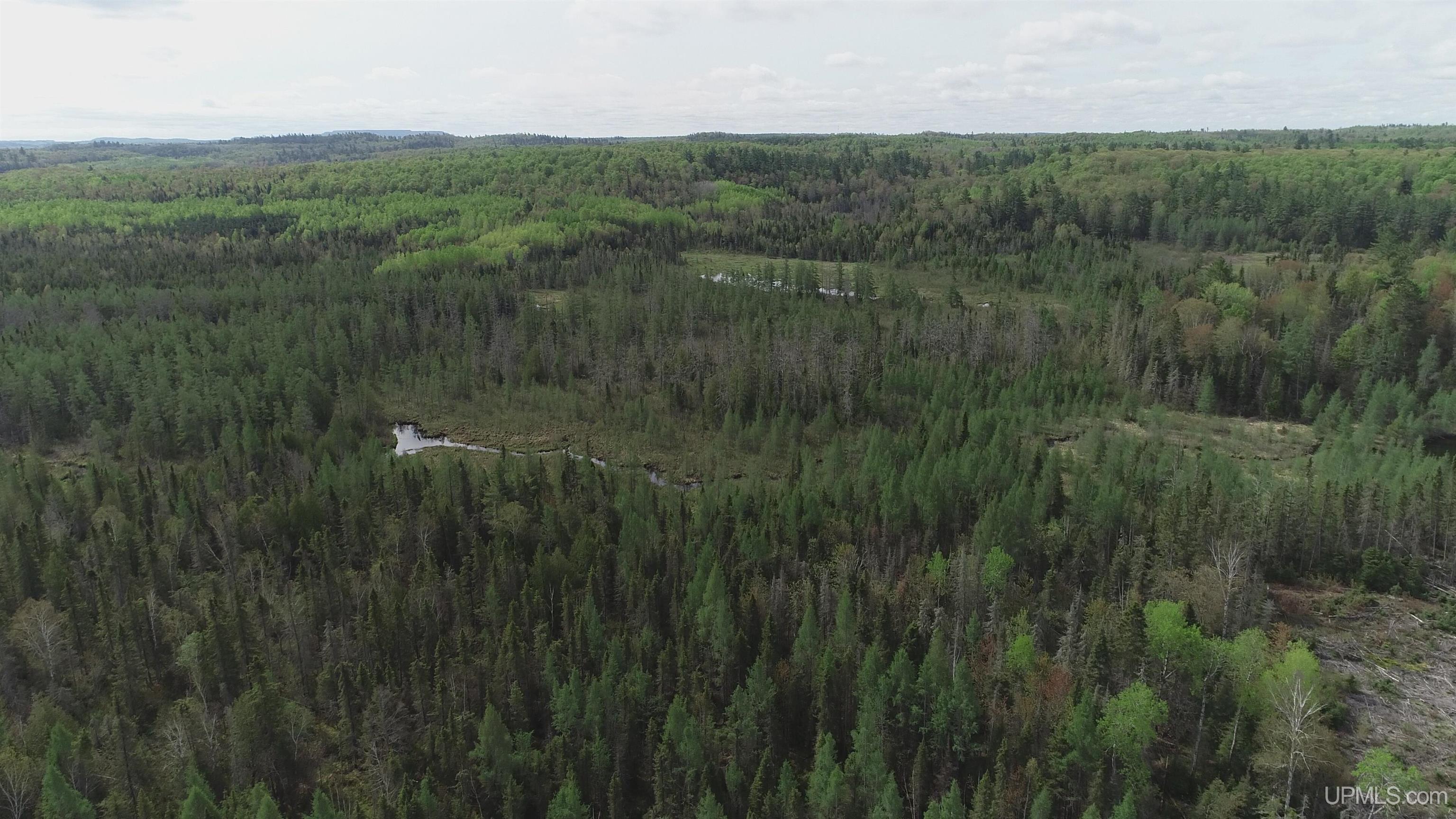 280-acres County Road CCN Road Negaunee, MI 49866 - Photo 3 of 48