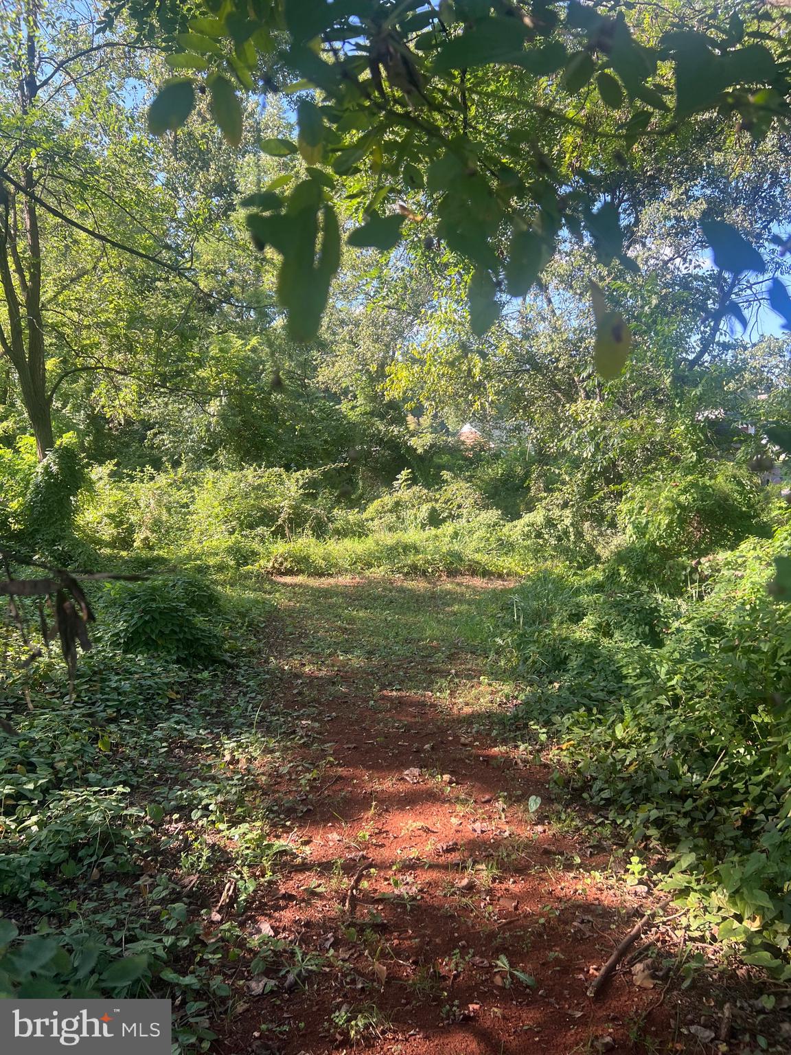 James Madison Highway Orange, VA 22960 - Photo 3 of 7