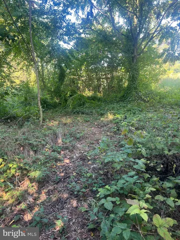 $160,000 | James Madison Highway, Orange, VA 22960