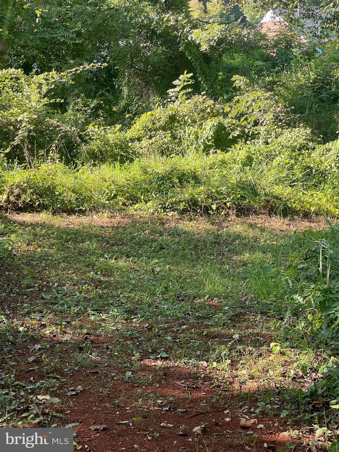 James Madison Highway Orange, VA 22960 - Photo 7 of 7