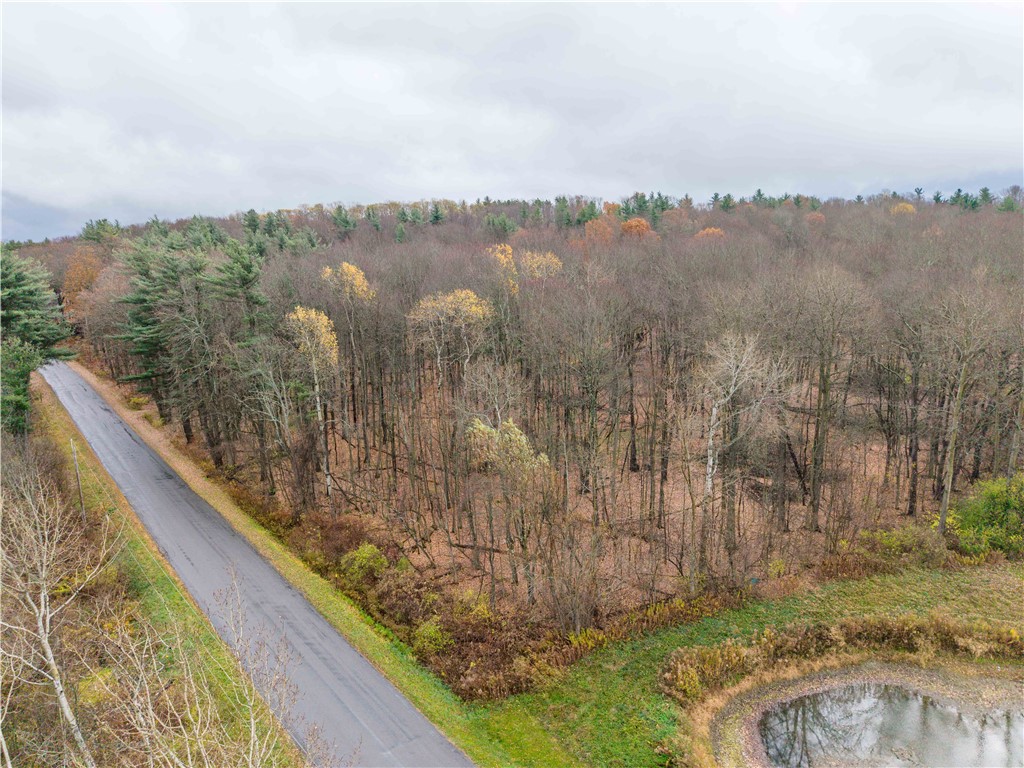 Stilson Road Hunt, NY 14846 - Photo 3 of 12