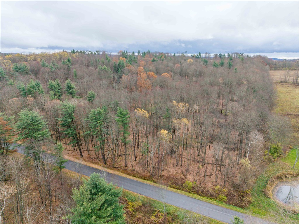 Stilson Road Hunt, NY 14846 - Photo 4 of 12