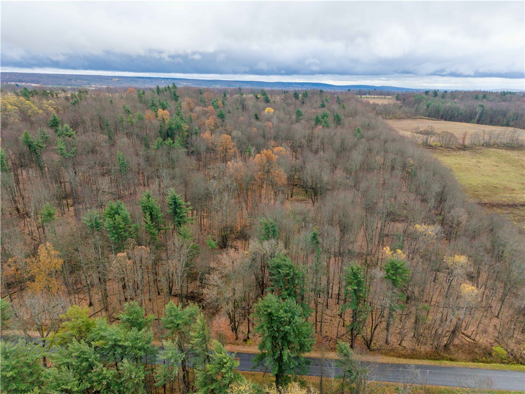 Stilson Road Hunt, NY 14846 - Photo 5 of 12