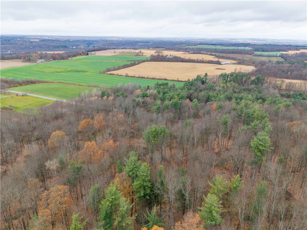 Stilson Road Hunt, NY 14846 - Photo 9 of 12