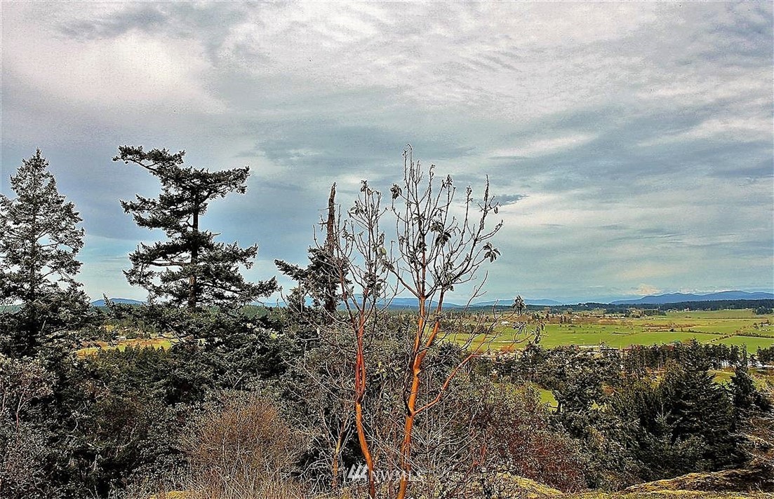 8 Prospect Road San Juan Island, WA 98250 - Photo 14 of 16 Gallery Image 14