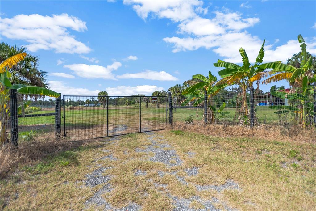 8994 Bunker Hill Road Parrish, FL 34219 - Photo 6 of 7 a view of back yard