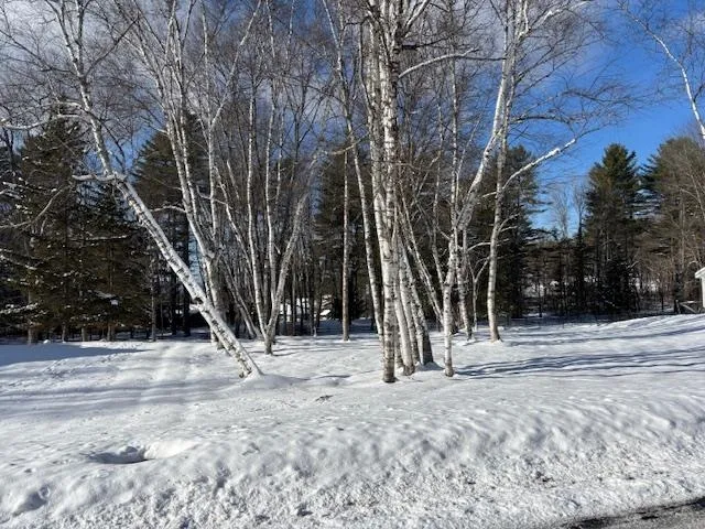 $135,000 | 0 Westwood Drive, Unit 6, Montpelier, VT 05602