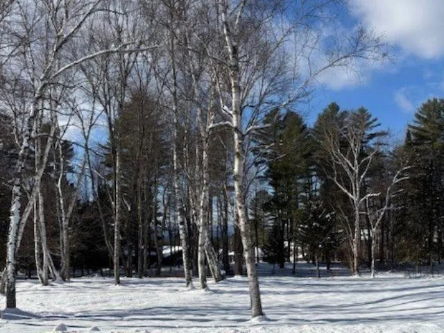 $135,000 | 0 Westwood Drive, Unit 6, Montpelier, VT 05602