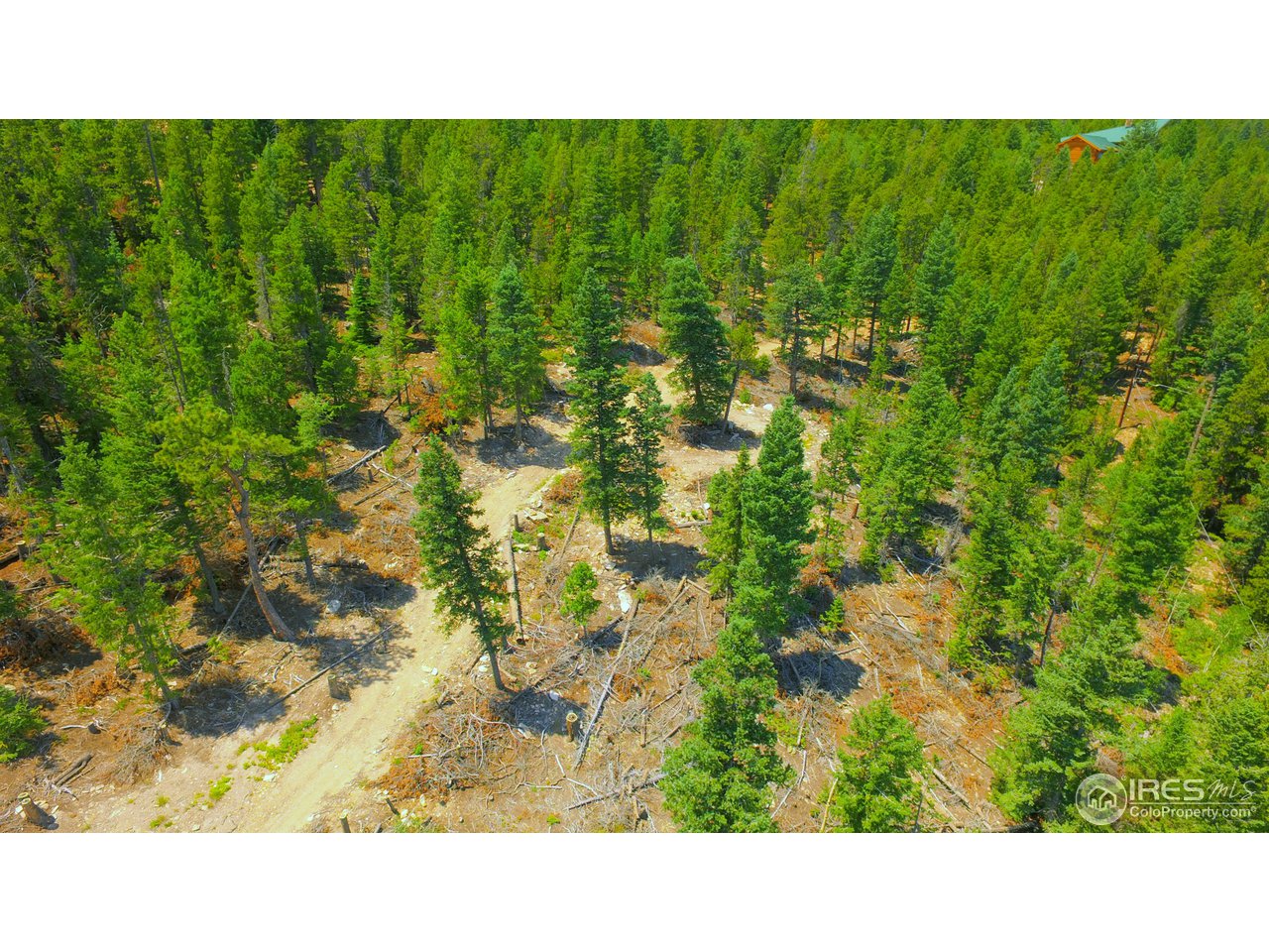 33555 Gap Road Golden, CO 80403 - Photo 1 of 13 rough cut up to build site