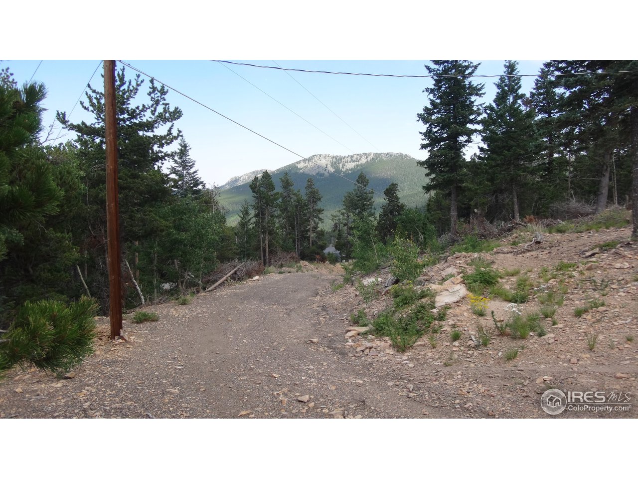 33555 Gap Road Golden, CO 80403 - Photo 6 of 13 driveway