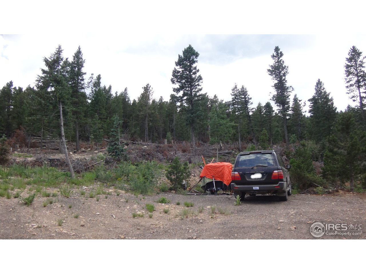 33555 Gap Road Golden, CO 80403 - Photo 9 of 13 middle of lot