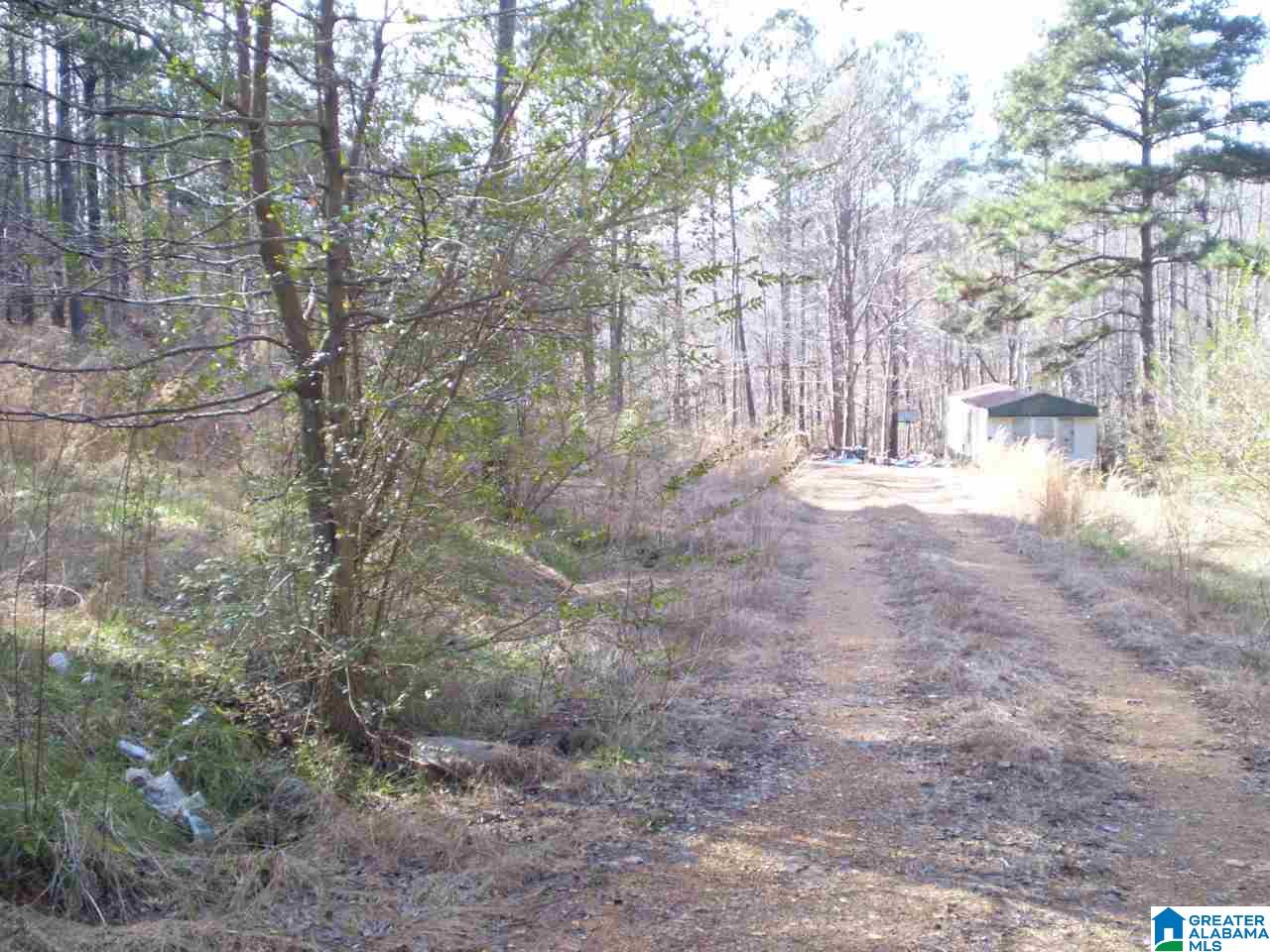170 Pine Ridge Lane, Unit TRACT A Pell City, AL 35125 - Photo 14 of 15