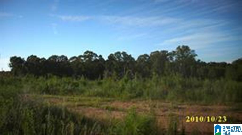 Eureka Road, Unit 1 Lincoln, AL 35096 - Photo 19 of 34