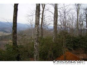 L47 Pepperbush Road, Unit 47 Brevard, NC 28712 - Photo 6 of 6 a view of a yard