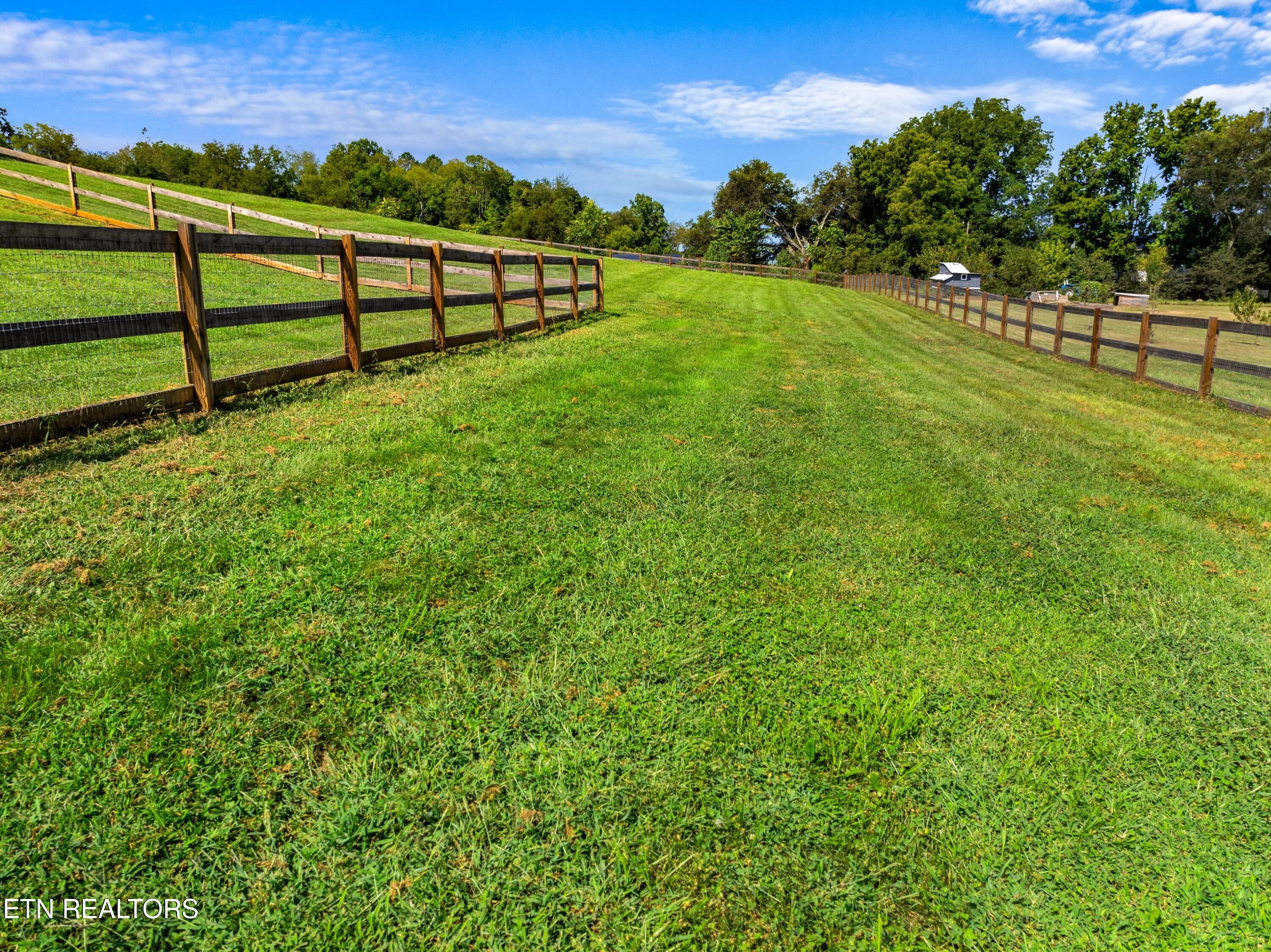 923 Reed Bull Road New Market, TN 37820 - Photo 10 of 26 XJI_20240813111439_0133_D.jpg-SMALL