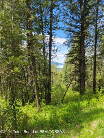$349,000 | 22 Trail Ridge Road, Alpine, WY 83128