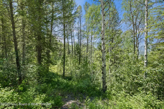 $349,000 | 22 Trail Ridge Road, Alpine, WY 83128